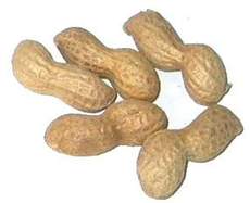 Erdnüsse-5.jpg